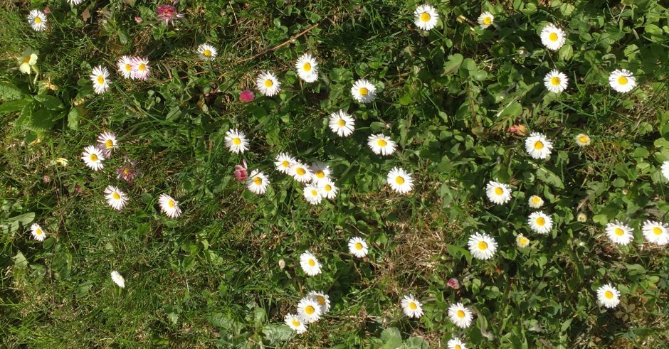 Atelier Écritures Onex