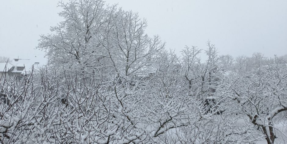 Atelier Écritures Onex