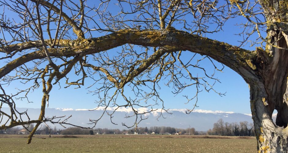 Atelier Écritures Onex